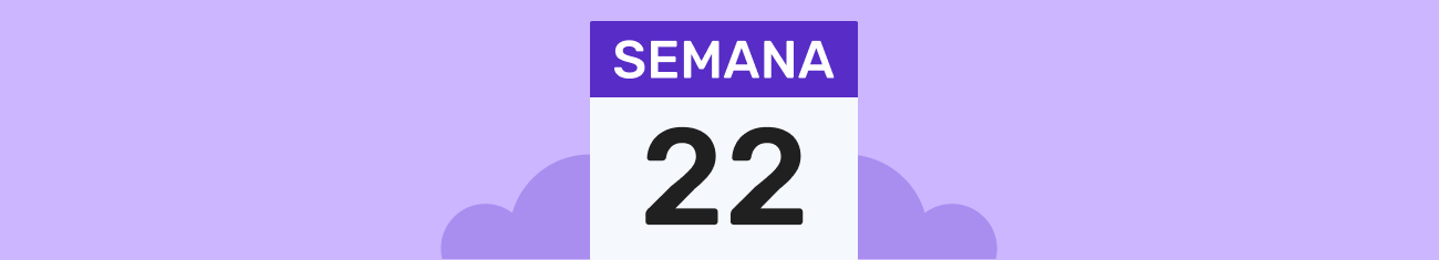 Semana 22